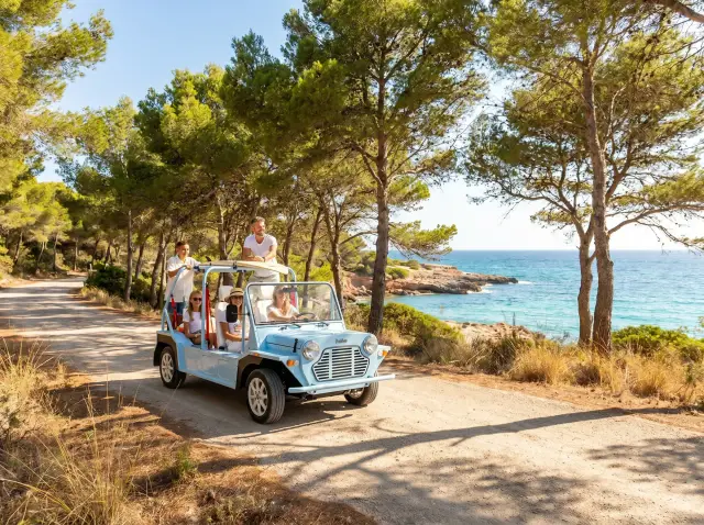 Kate electric tour through Aleppo pines on Ibiza coastal road — Retro Rides